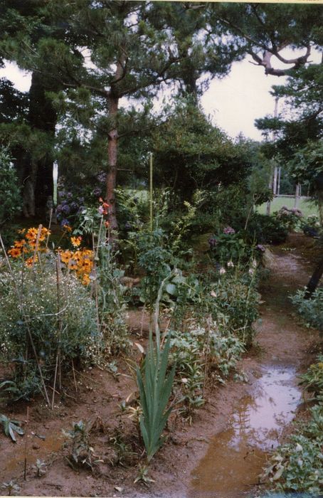 Seiko's Mother Mutsu's Garden\nSummer 1982